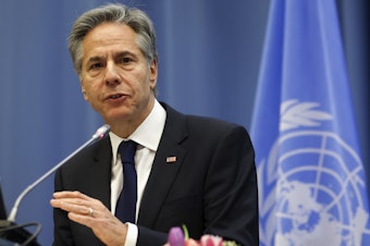 caption: U.S. Secretary of State Anthony Blinken speaks Friday at the 67th Session of the U.N. Commission on Narcotic Drugs in Vienna, Austria.