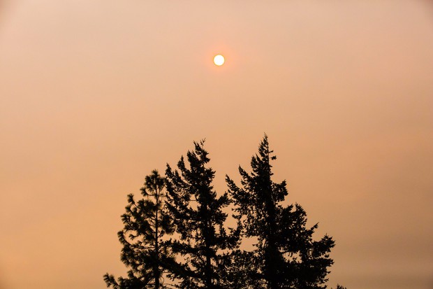 caption: <p>The Eagle Creek Fire as seen from the Bonneville Fish Hatchery, Sunday, Sept. 3, 2017.&nbsp;</p>