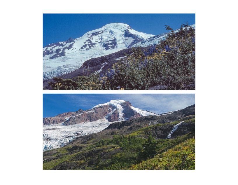 caption: The north side of Washington's Mount Baker in August 1981 (above) and on Sept. 13, 2021 (below)