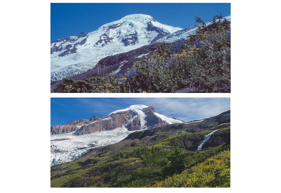caption: The north side of Washington's Mount Baker in August 1981 (above) and on Sept. 13, 2021 (below)