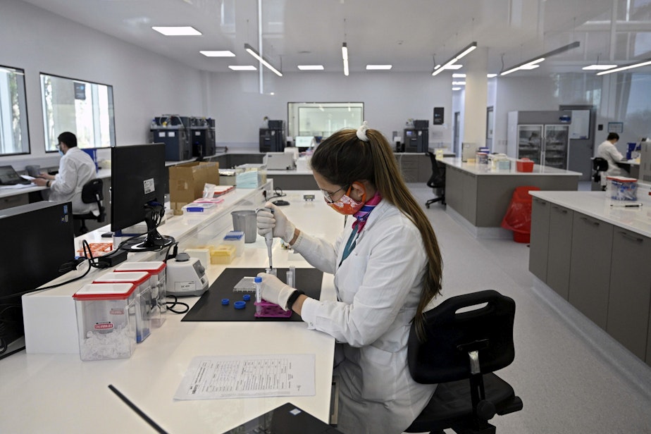 caption: Scientists work at the mAbxience biosimilar monoclonal antibody laboratory plant in Garin, Buenos Aires province, on August 14, 2020, where an experimental coronavirus vaccine will be produced for Latin America. - Argentina will manufacture while Mexico will pack and distribute in Latin America, except of Brazil, the vaccine against COVID-19 developed by the University of Oxford and the AstraZeneca laboratory. (Juan Mabromata/AFP via Getty Images)