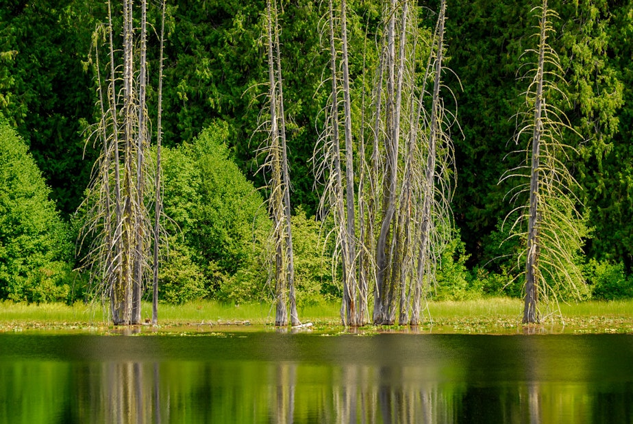 caption: Howard Lake, north of Stehekin in Washington's North Cascades.