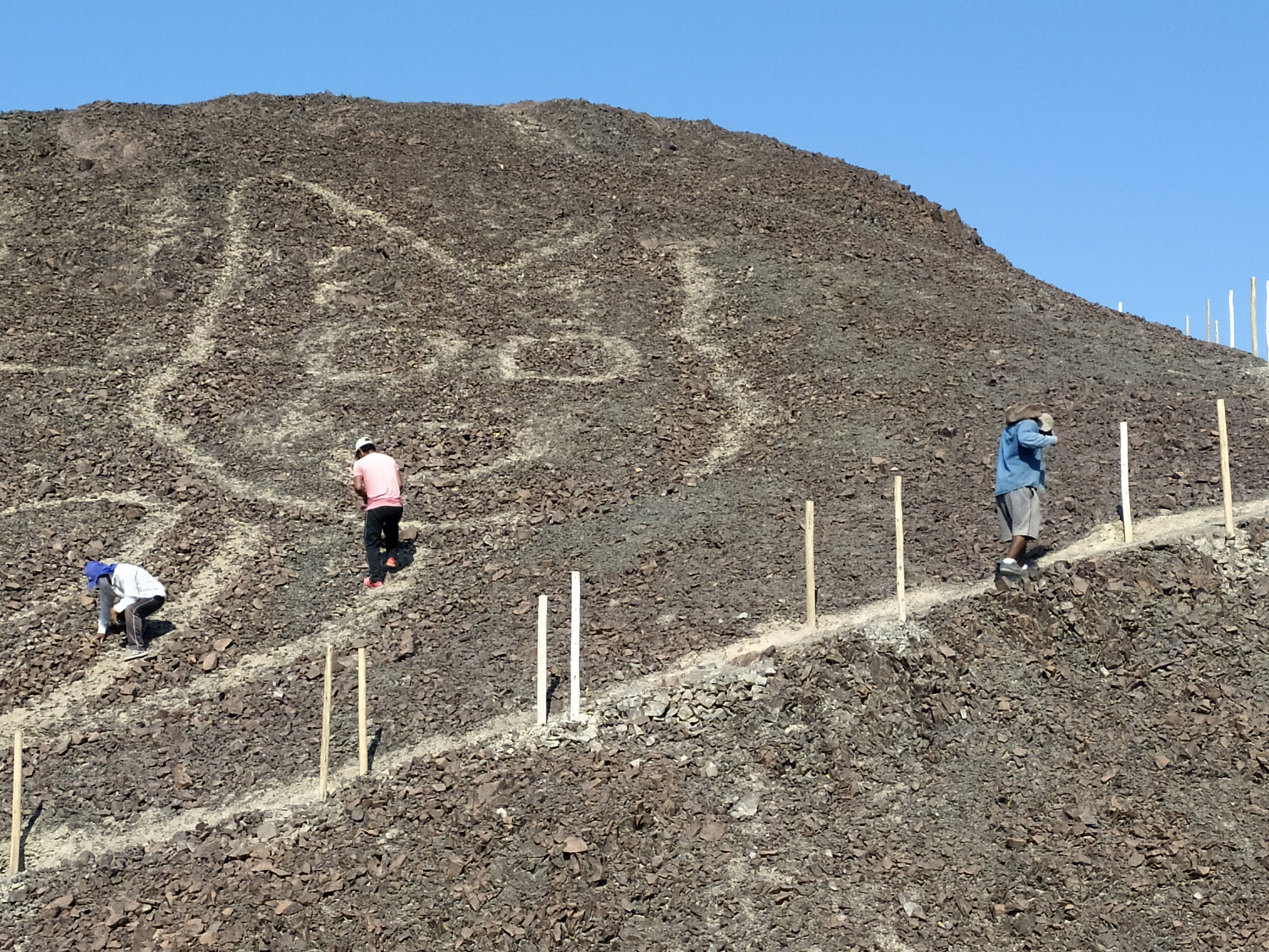 caption: This handout photo provided by Peru's Ministry of Culture-Nasca-Palpa shows a feline figure on a hillside in Nazca, Peru, on Oct. 9, 2020.