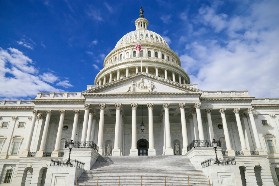 caption: The U.S. Capitol