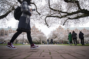 caption: People walk amongst the cherry trees on Wednesday, March 27, 2019, on the University of Washington campus in Seattle. 