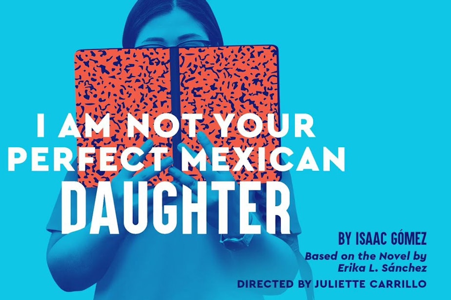 caption: I Am Not Your Perfect Mexican Daughter