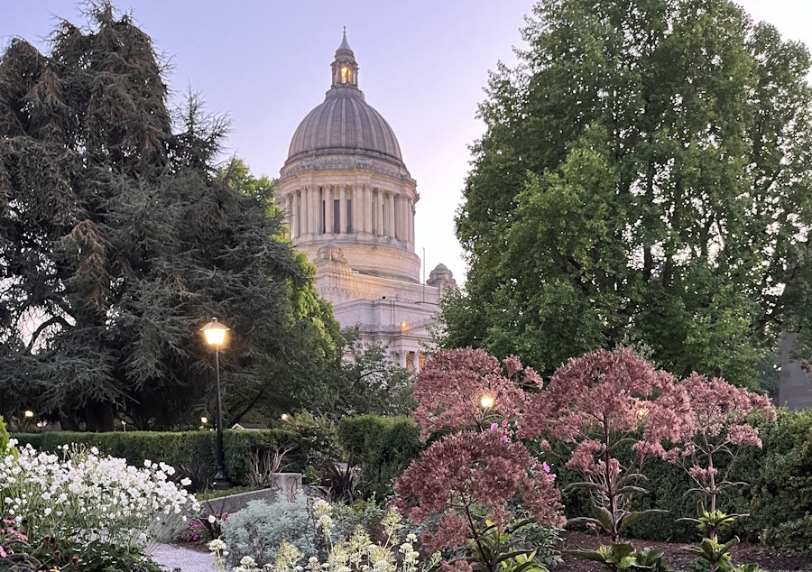 caption: The flowers in the Washington State Capitol's sunken garden will be back in bloom by the time the 2023 Washington legislative session wraps up. The session starts Monday, January 9.