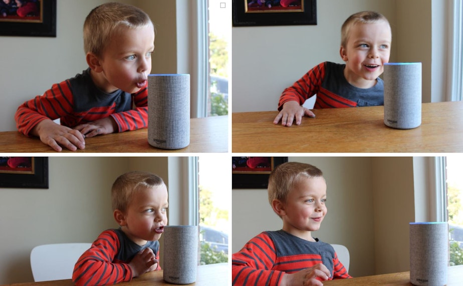 caption: Oscar Pulkkinen, the author's son, was asked to make Alexa fart for the good of journalism. Instead, he asked the device to make 'an elephant sneeze noise.'