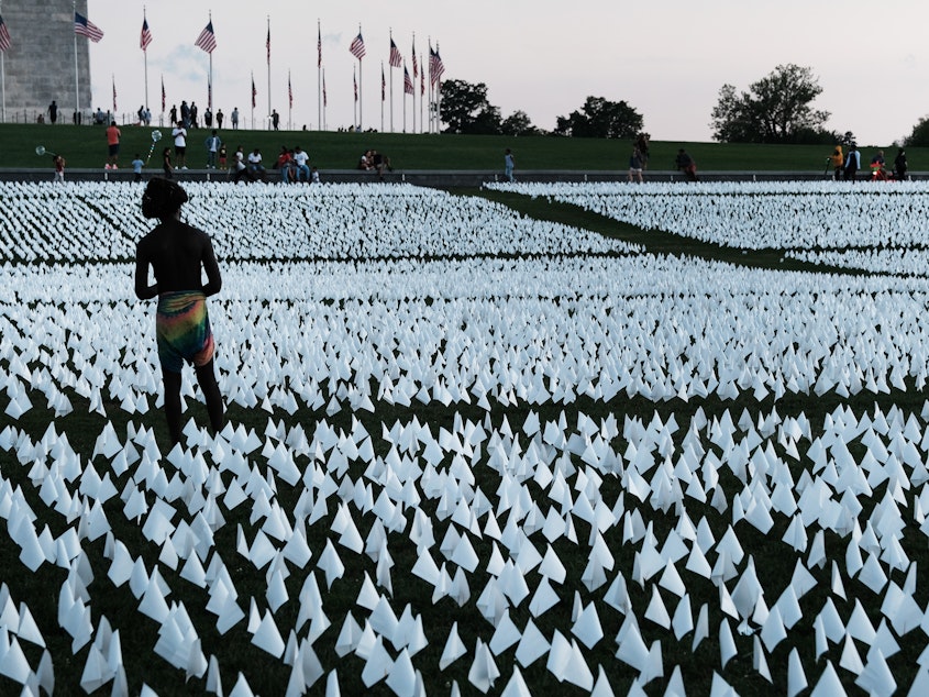 caption: <em></em>Flags at the Washington Monument commemorate Americans who died from  COVID-19. In 2021, life expectancy in the U.S. fell for the second year in a row.