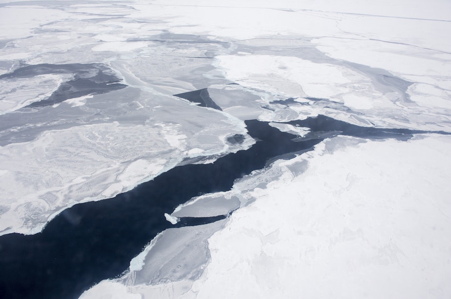 caption: A Coast Guard C-130 flies over the Arctic Ocean during an Office of Naval Research-sponsored study of the changing sea ice, ocean and atmosphere. Arctic ice is decreasing dramatically.