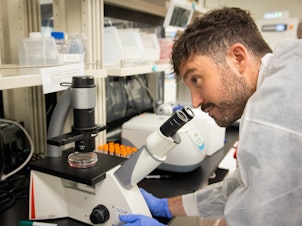 caption: Conception's chief scientific officer, Pablo Hurtado, examines very early primordial germ cells under a microscope in a company lab in Berkeley, California.