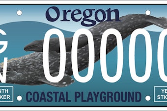 20193001_Oregon_new_gray_whale_license_plate