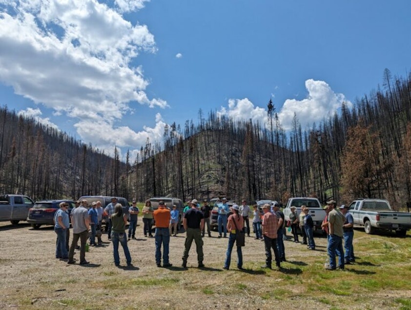 caption: United States Forest officials met with nonprofit groups like the Clearwater Basin Collaborative to talk about solutions to better prepare rural communities for wildfires. 