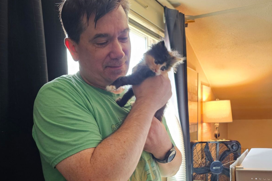 caption: Peaches poses for a photo with Joseph Waldherr, the Tacoma postal worker, who won the lottery after rescuing the kitten.