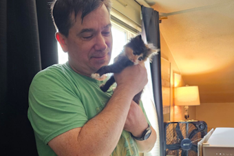 caption: Peaches poses for a photo with Joseph Waldherr, the Tacoma postal worker, who won the lottery after rescuing the kitten.