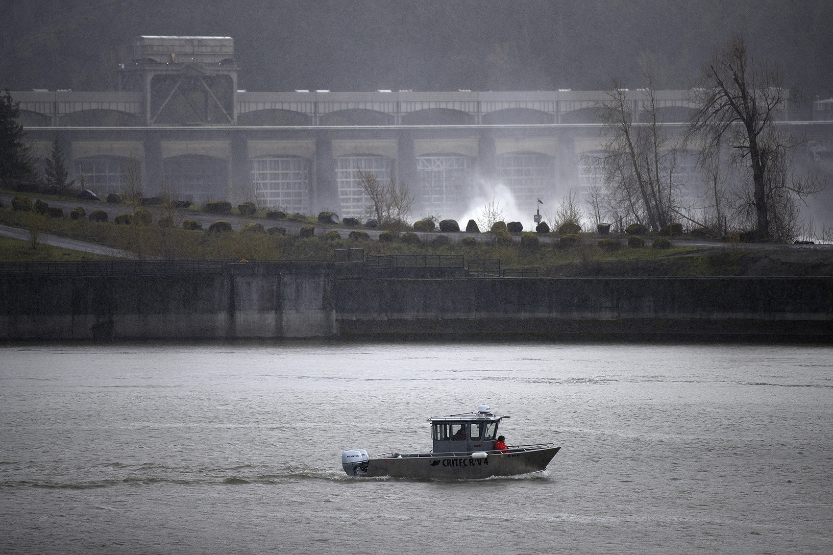 KUOW - Bombs, guns and sea lions on the Columbia River