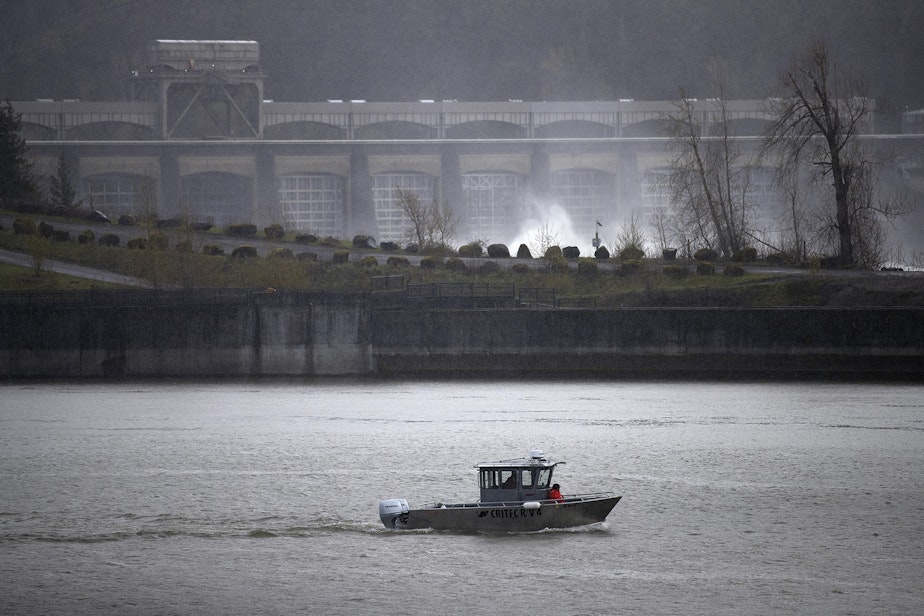 caption: Fishery technicians with the Columbia River Inter-Tribal Fish Commission conduct a non-lethal hazing mission, using shell crackers and sticks of dynamite to scare sea lions away from the area in an effort to protect salmon, on Friday, April 12, 2019, at the Bonneville Dam.