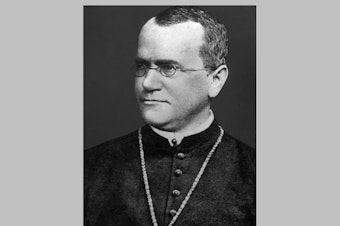 caption: Gregor Johann Mendel (1822 - 1884) the priest and botanist whose work laid the foundation of the study of genetics.