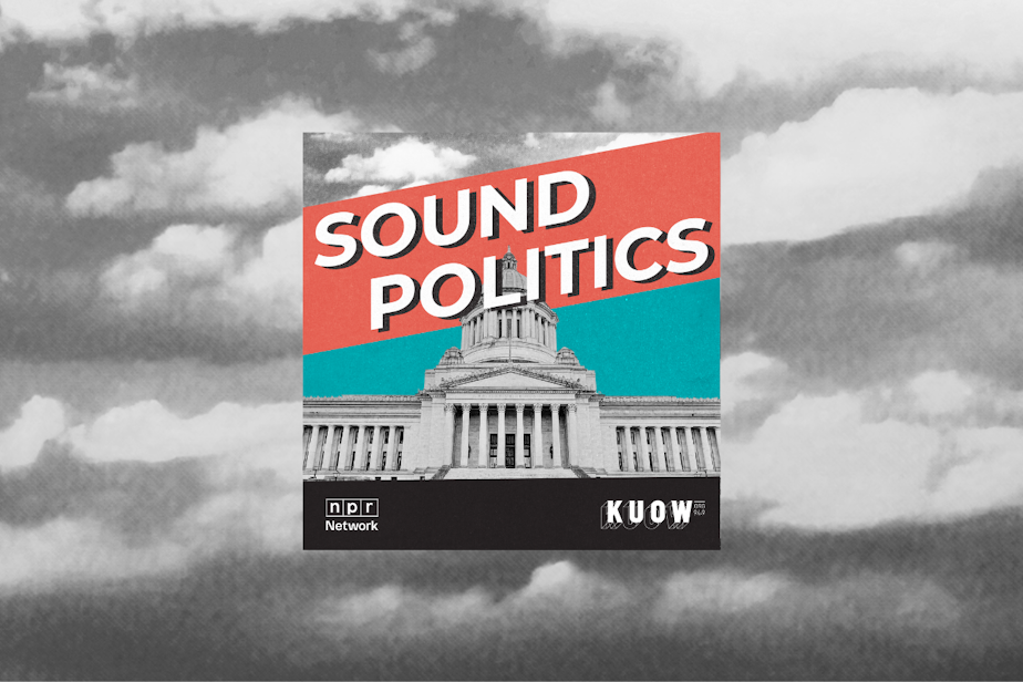 Sound Politics Web Banner