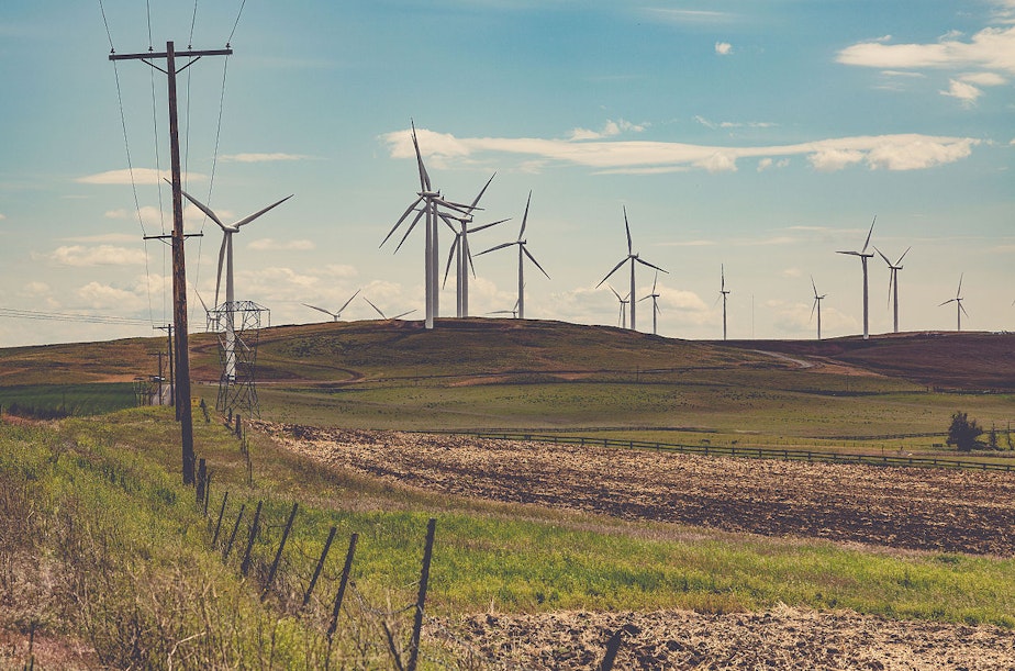 caption: A Klickitat Valley wind farm