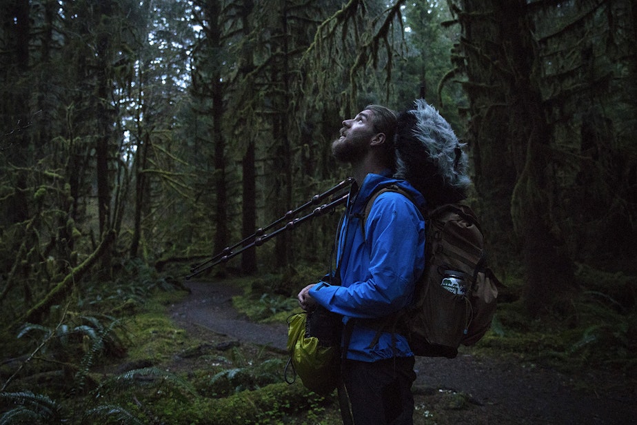 caption: Matt Mikkelsen carries his audio equipment while walking toward One Square Inch of Silence as the sun comes up on Friday, April 5, 2019, in the Hoh Rainforest in the Olympic National Park. 