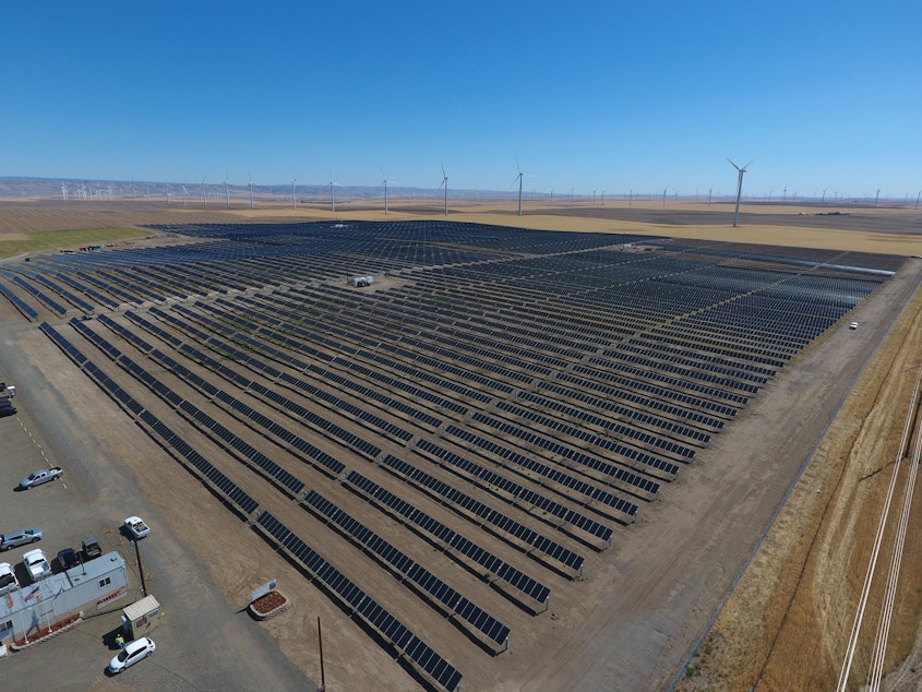 caption: The new Avangrid Renewables solar farm in Klickitat County, Washington, will rise across the Columbia River from the smaller Wy'East Solar Project, shown here in Sherman County, Oregon.