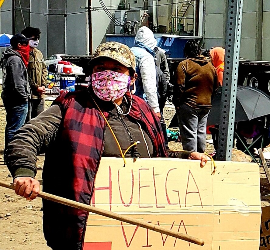 caption: Washington farmworker on strike