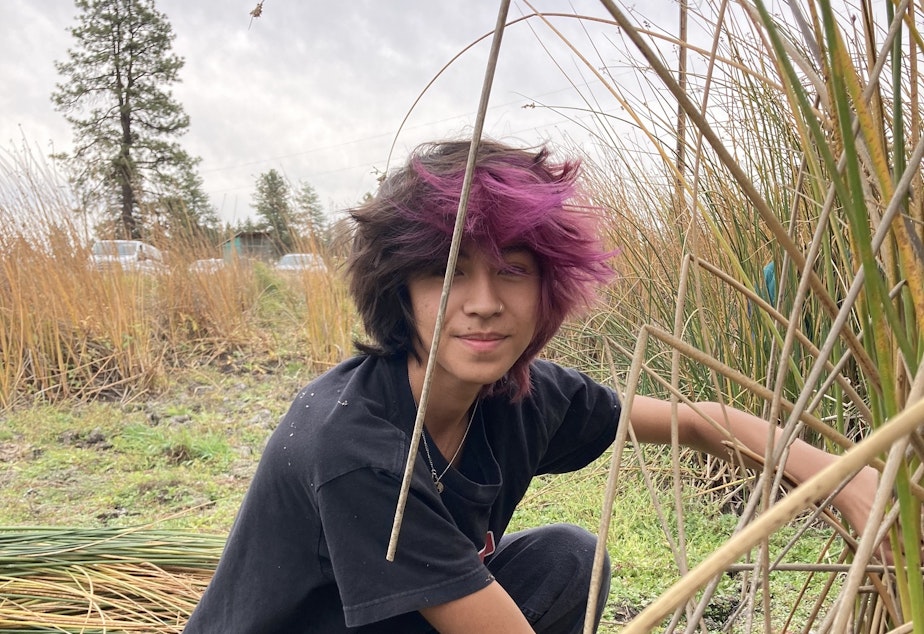 caption: Kale Nissen, a sophomore at the Salish School and a member of the Colville Tribe, harvests tule. “This is what my ancestors did so this is what I do. But I am one of the first generations that's back doing this after it was taken away from my people.”