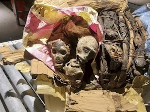 caption: The traveler caught with the mummified monkey remains initially said the items were dried fish.