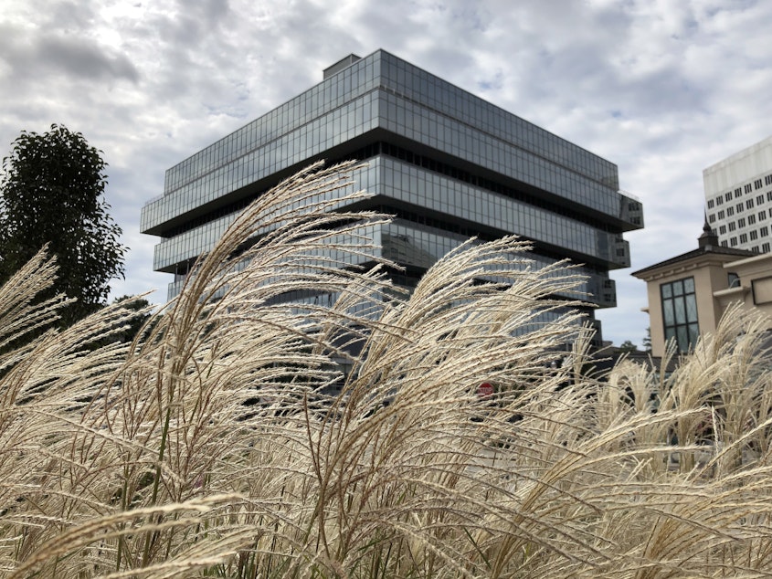 caption: Purdue Pharma's headquarters in Stamford, Conn., seen earlier this month. The OxyContin manufacturer has filed for Chapter 11 bankruptcy, but some want the company's owners to face criminal charges over the opioid crisis.
