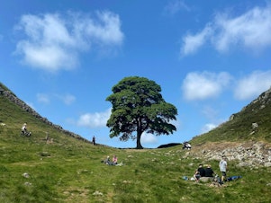 caption: The famous Sycamore Gap tree along Hadrian's Wall in northern England is seen in June, at top, and the new landscape on Thursday after someone cut the tree down.