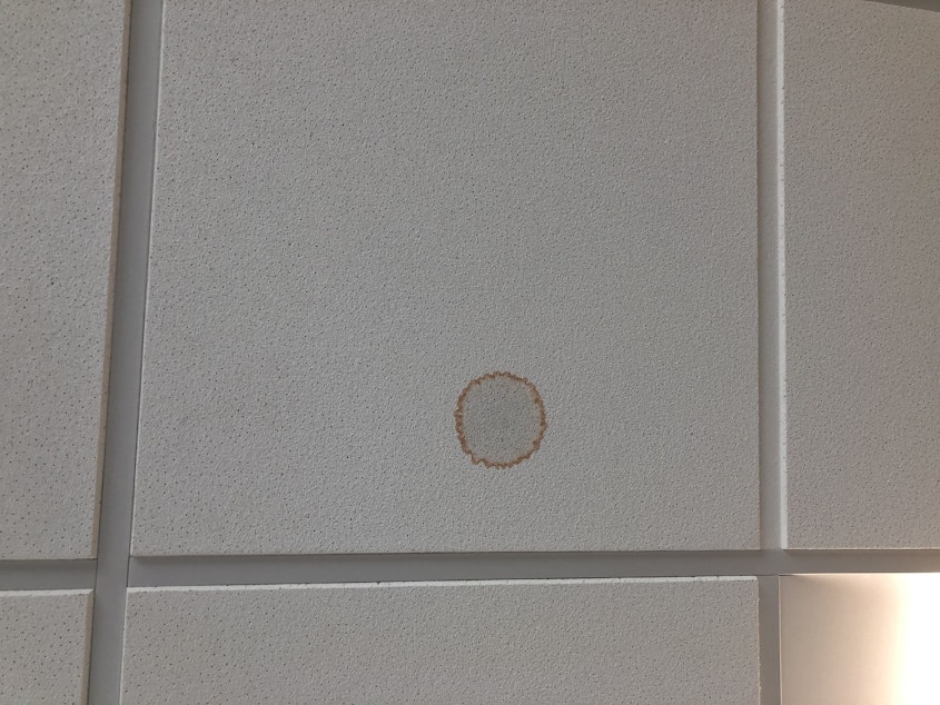 caption: “Look for the tile with the brown staining,” wrote maintenance employee David Rauen in an April 2020 email alerting higher ups of leaks and improper installation in the plumbing and heating and cooling systems. 
