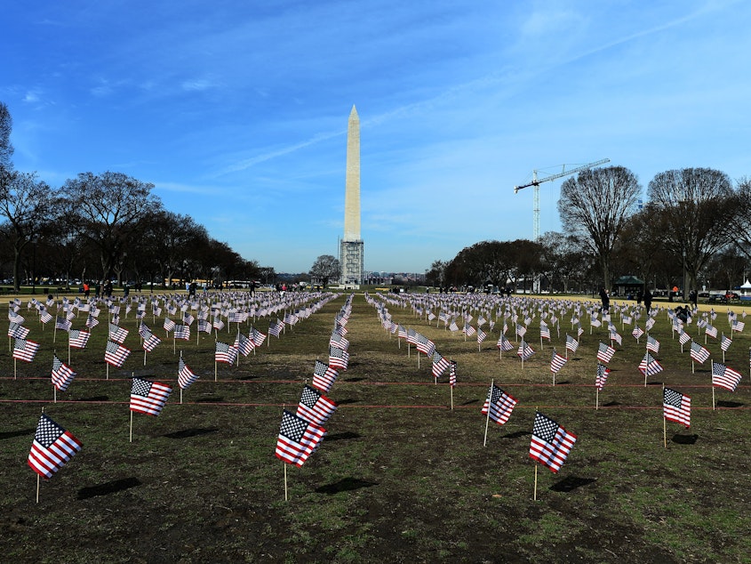 caption: Some 1,892 American flags are installed on the National Mall in Washington, DC in 2014. The Iraq and Afghanistan veterans installed the flags to represent the 1,892 veterans and service members who committed suicide this year as part of the "We've Got Your Back: IAVA's Campaign to Combat Suicide."