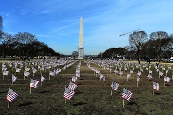 caption: Some 1,892 American flags are installed on the National Mall in Washington, DC in 2014. The Iraq and Afghanistan veterans installed the flags to represent the 1,892 veterans and service members who committed suicide this year as part of the "We've Got Your Back: IAVA's Campaign to Combat Suicide."