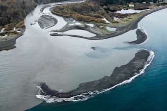 caption: About 3 million cubic yards of sediment have been flushed down the Elwha River since dam removal began in 2011. That’s only 16 percent of what’s expected to move downstream in the next five years.
