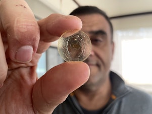 caption: Paleontologist Dany Azar holds up one of his treasures that he discovered in Lebanon in a piece of amber from the early Cretaceous: The oldest mosquito ever found. 