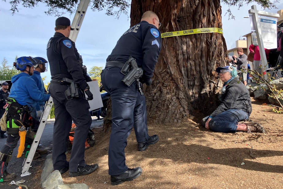 caption: A protester speaks with police at the base of a coastal redwood scheduled for demolition in Edmonds, Washington