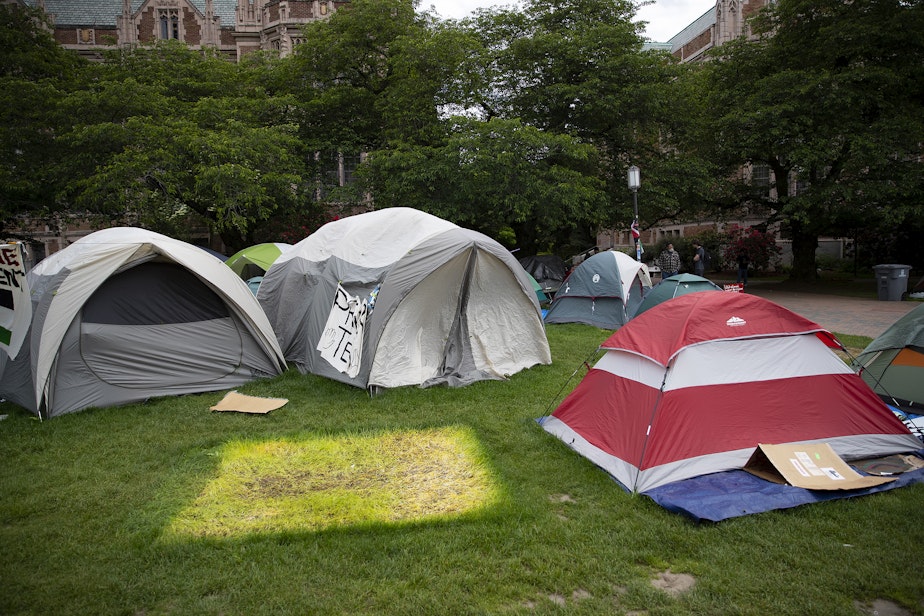 caption: An imprint of a tent is shown in the grass on the University of Washington Quad following an agreement between student protesters and the University to remove the encampment on Friday, May 17, 2024, in Seattle. 