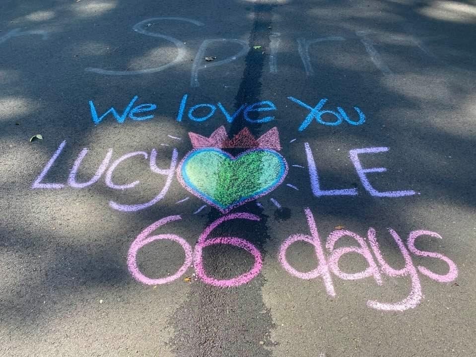 caption: Last summer, Lucy Le was killed on a street near her Virginia home by a neighbor backing out of her driveway. Her daughter, Laura Pho, now draws a new memorial to her mother every day on the pavement where she died. "It's my meditation," she says. "It's my way of honoring her."