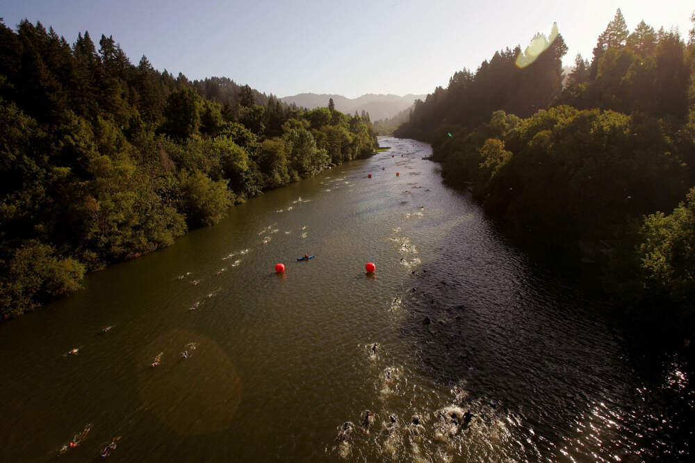 caption: Athletes swim in the Russian River during  the an ironman in Santa Rosa, California. (Ezra Shaw/Getty Images)