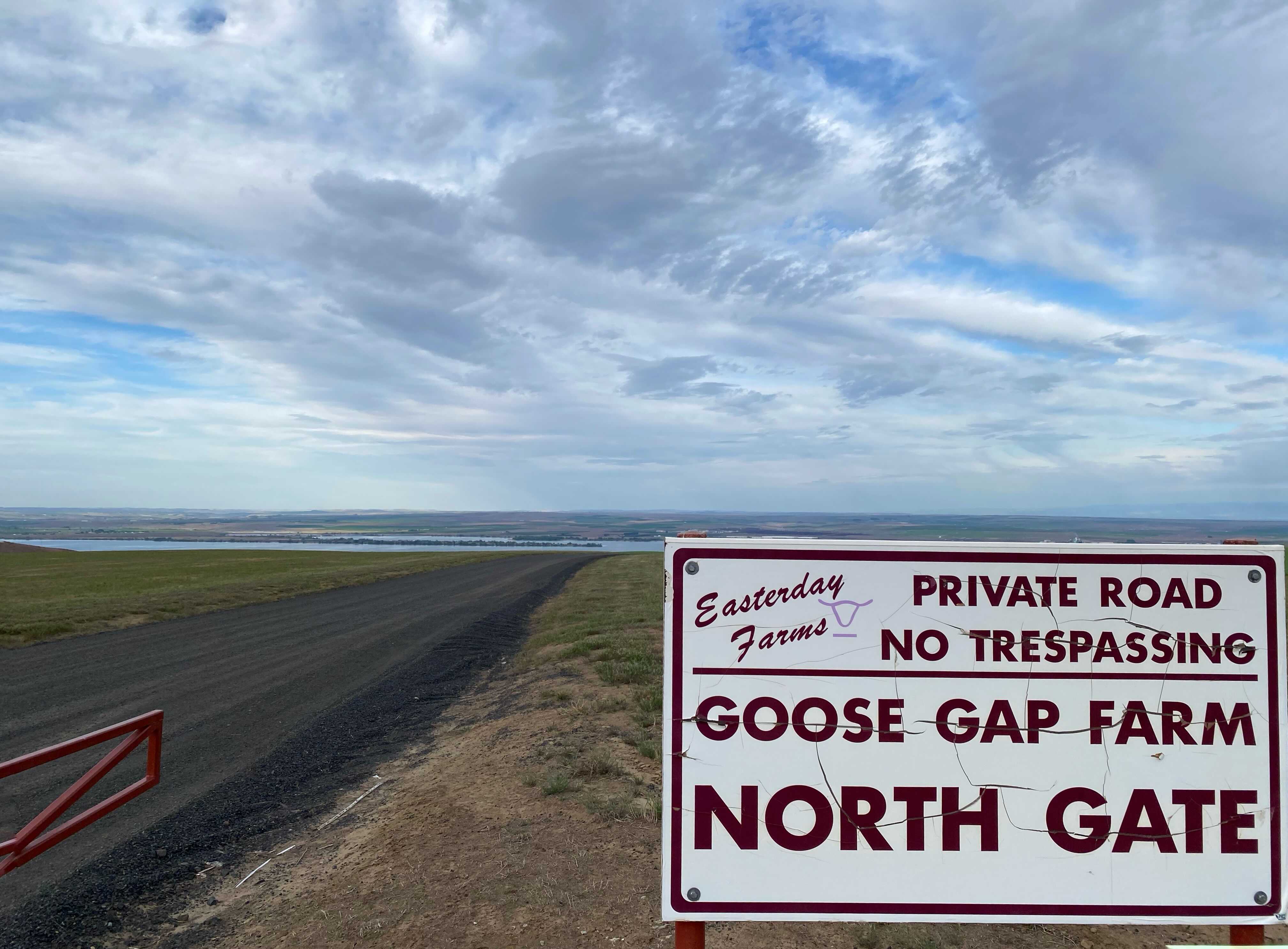 caption: Goose Gap Farm is one of several large swaths of farmland that are up for sale in a major auction in the bankruptcy of Easterday Farms and Easterday Ranches.