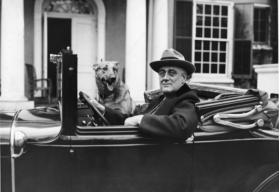 caption: Portrait of American President Franklin Delano Roosevelt (1882 - 1945) sitting behind the wheel of his car outside his home in Hyde Park, New York in the mid 1930s.