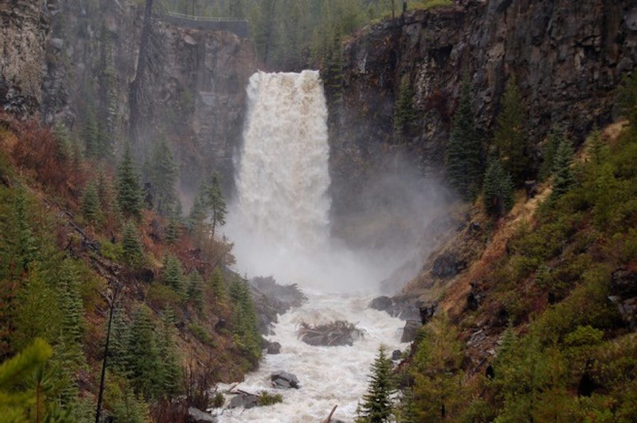 caption: <p>Tumalo Creek outside Bend, Oregon.</p>