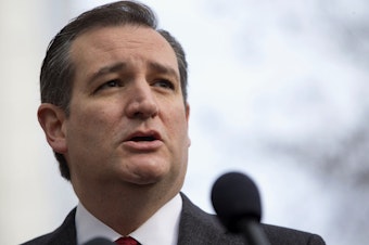 caption: Republican presidential candidate Ted Cruz speaks to the media about events in Brussels, Tuesday, March 22, 2016, near the Capitol in Washington. Cruz said he would use the 'full force and fury' of the U.S. military to defeat the Islamic State group.