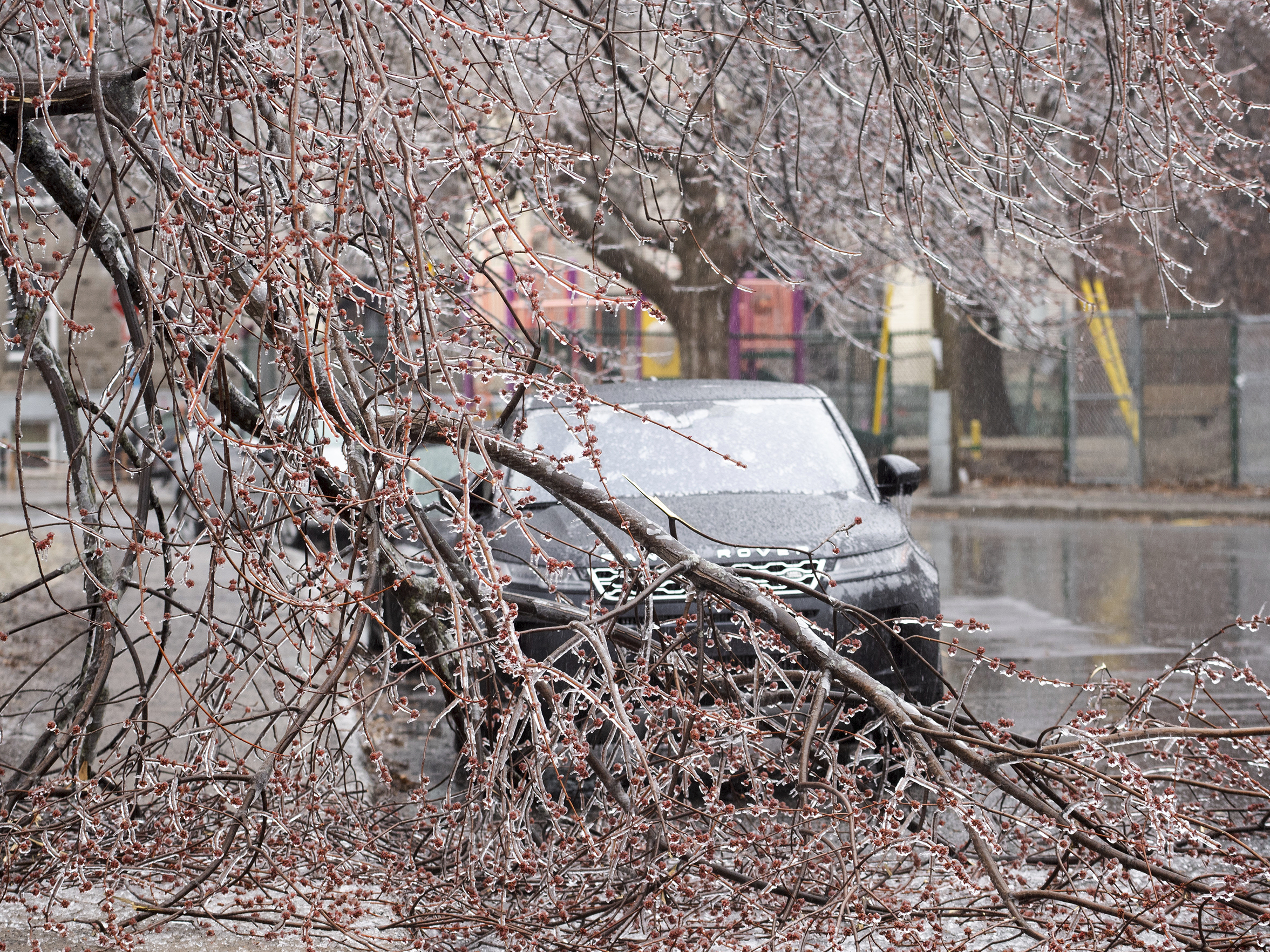 caption: Fallen tree branches are shown on a street following an accumulation of ice rain in Montreal, Wednesday, April 5, 2023.