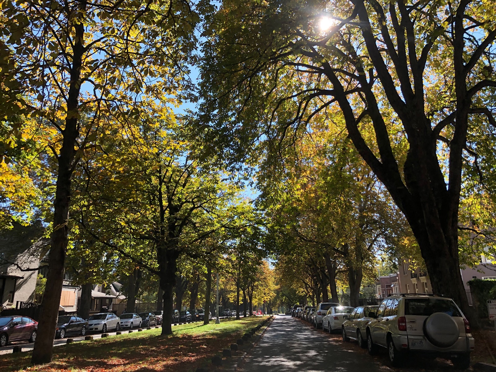 KUOW Behind the coronavirus outbreak on Greek Row at the