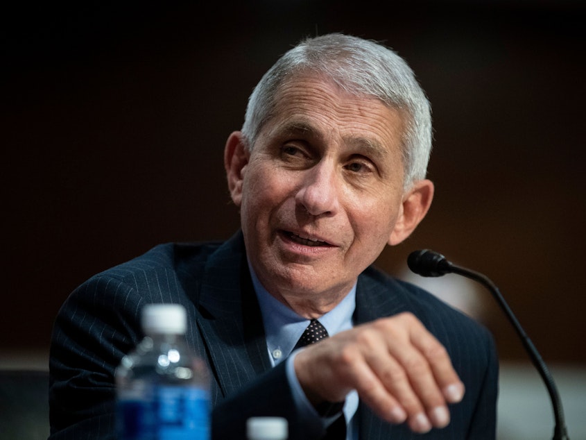 caption: Dr. Anthony Fauci, director of the National Institute of Allergy and Infectious Diseases, has testified before Congress on the spread of the novel coronavirus.