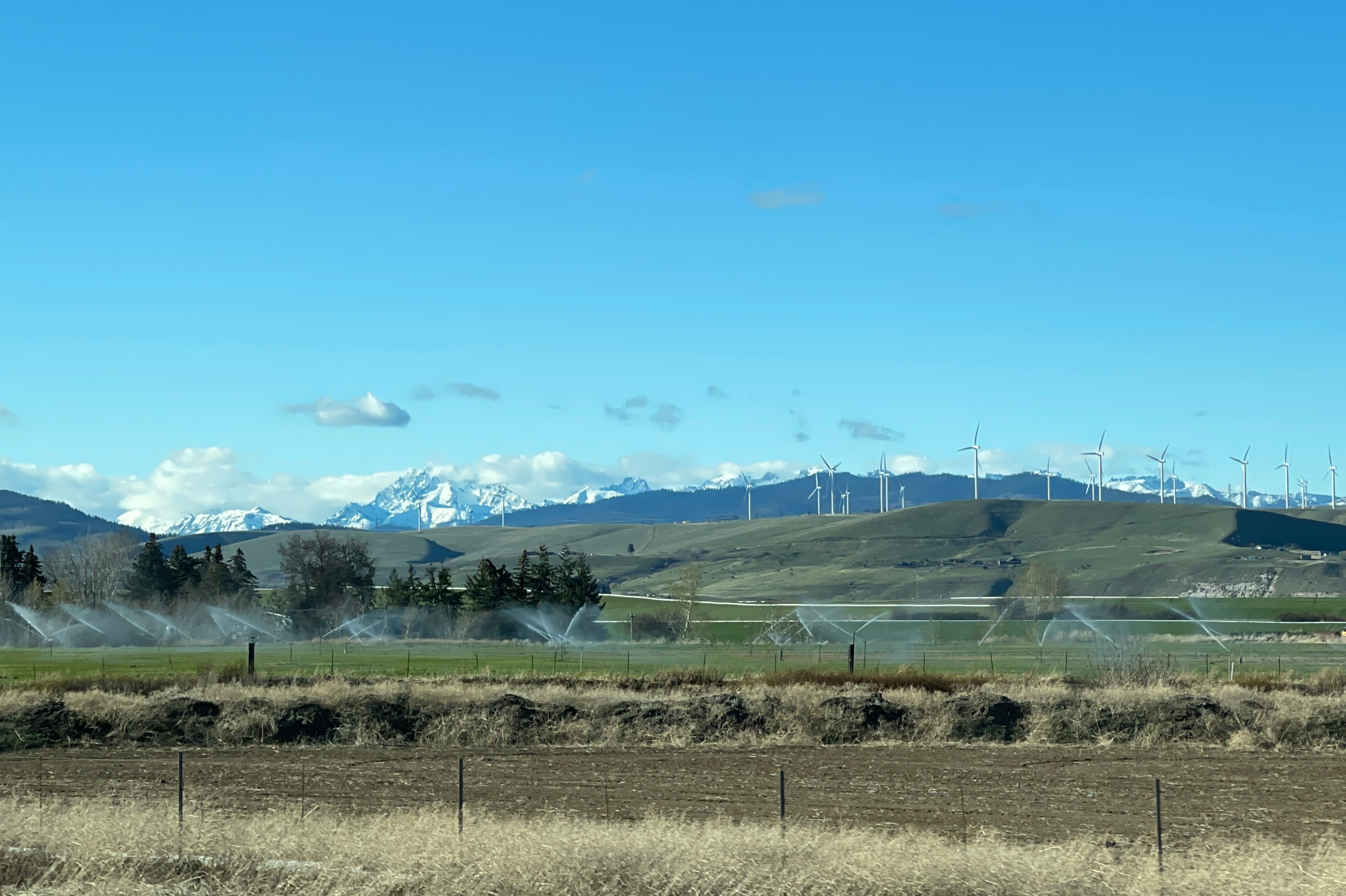 caption: Sprinklers irrigate a field in the Yakima Basin near Thorp, Washington, with snowy Mount Stuart and the Stuart Range on the horizon, on April 24, 2023.