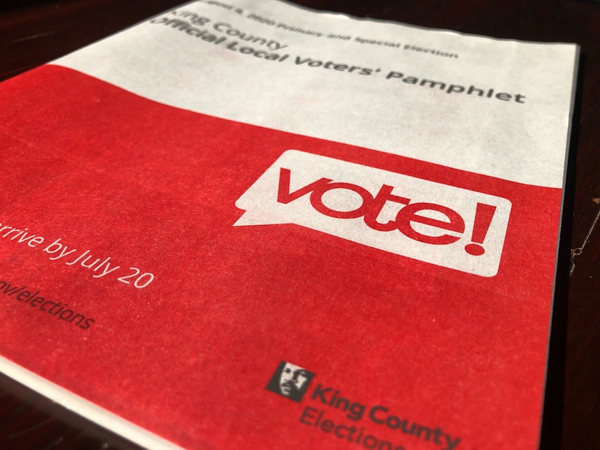 voter pamphlet ballot vote