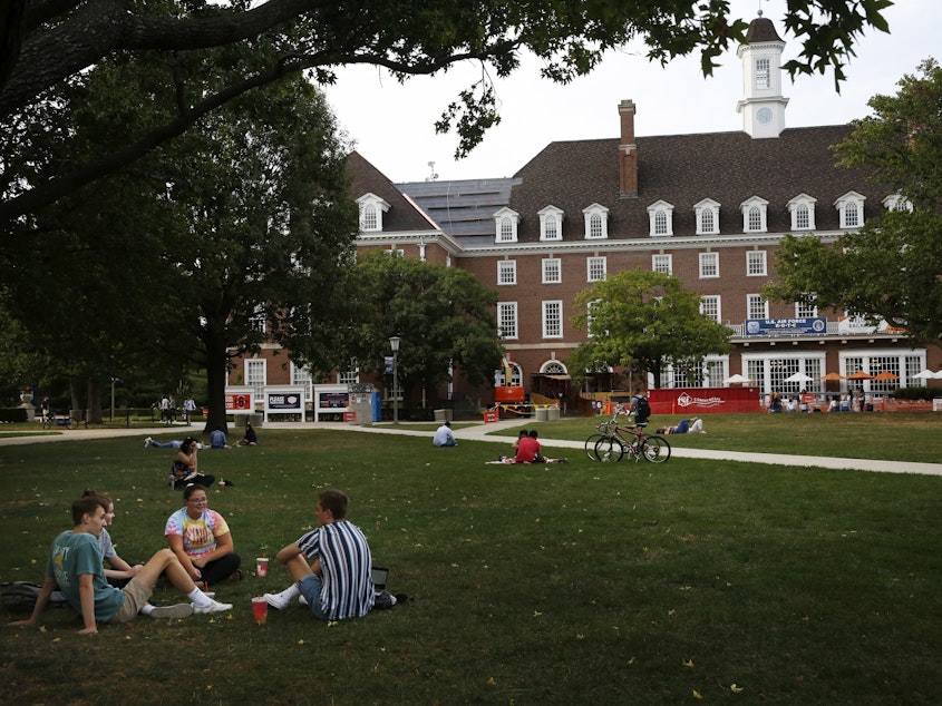 caption: Students chat on a lawn this fall at the University of Illinois at Urbana-Champaign. It's unclear how disruptions to campus life during the pandemic might affect student voter turnout on Election Day.